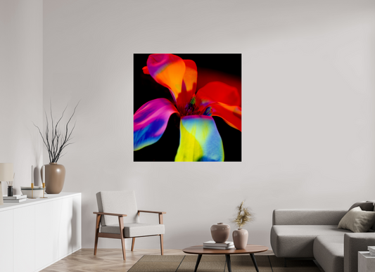 Closer 2 - Square → ELIŠKA BARTEK