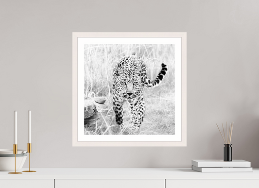 Act - Framed → JOCHEN VAN DIJK