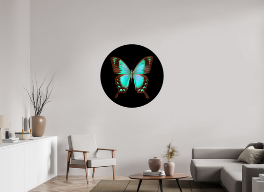 Fly - CIRCULAR LIMITED EDITION: 150 → JAVIERA ESTRADA