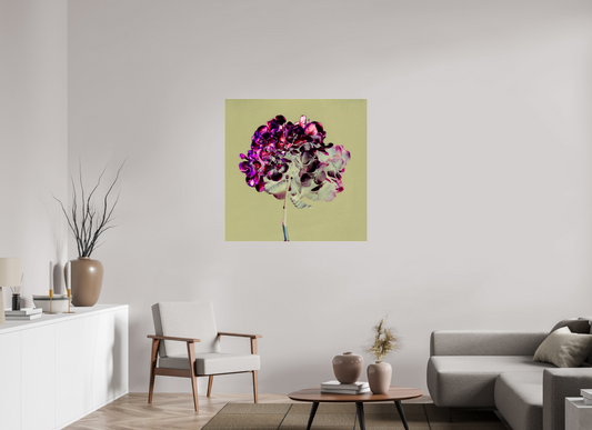 Hydrangea 2 - SQUARE LIMITED EDITION: 150 → TEIS ALBERS