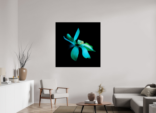 Survivor 2 - Square → ELIŠKA BARTEK