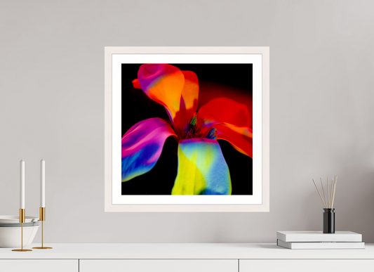 Closer 2 - Framed → ELIŠKA BARTEK