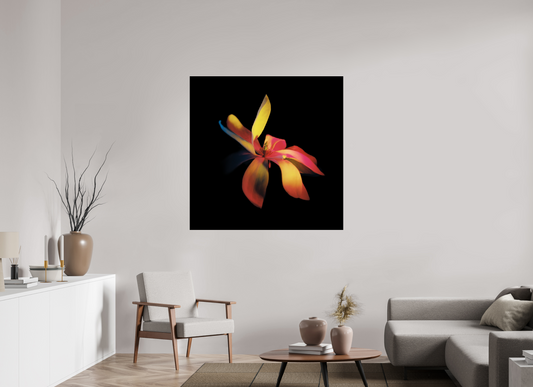 Survivor 1 - Square → ELIŠKA BARTEK