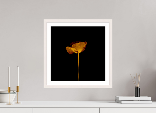 Rise - Framed → TEIS ALBERS