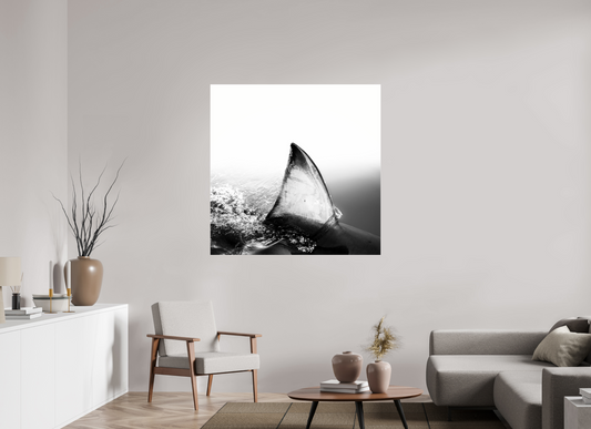 Shallow - Square → JOCHEN VAN DIJK