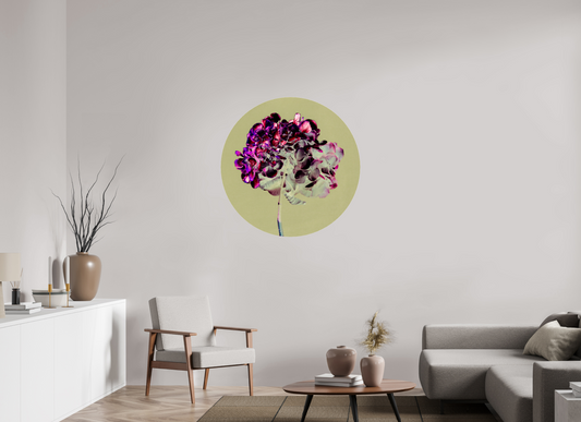 Hydrangea 2 - CIRCULAR LIMITED EDITION: 150 → TEIS ALBERS