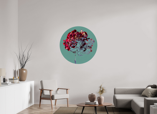 Hydrangea 1 - CIRCULAR LIMITED EDITION: 150 → TEIS ALBERS