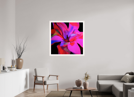 Closer 1 - FRAMED LIMITED EDITION: 150 → ELIŠKA BARTEK