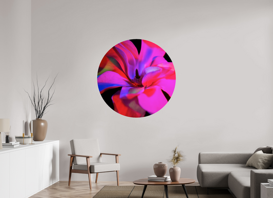 Closer 1 - Circular → ELIŠKA BARTEK