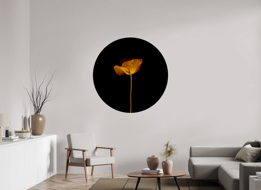 Rise - Circular → TEIS ALBERS