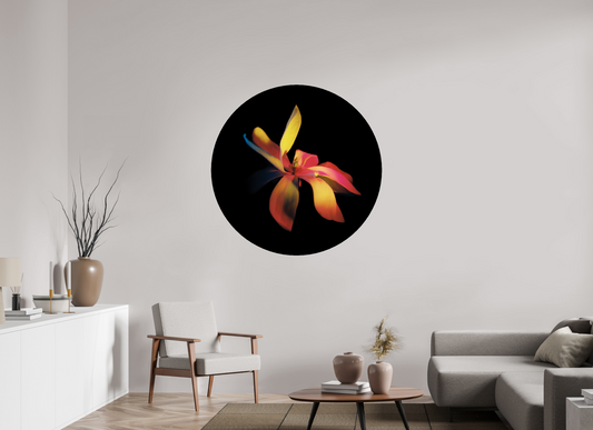 Survivor 1 - Circular → ELIŠKA BARTEK