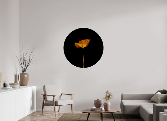 Rise - CIRCULAR LIMITED EDITION: 150 → TEIS ALBERS
