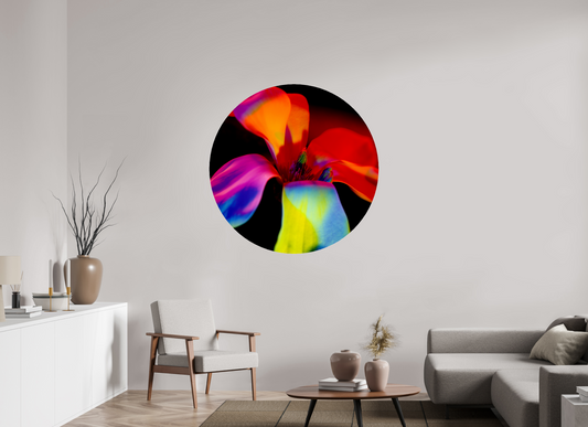 Closer 2 - Circular → ELIŠKA BARTEK