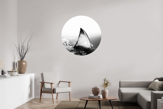 Shallow - CIRCULAR LIMITED EDITION: 150 → JOCHEN VAN DIJK