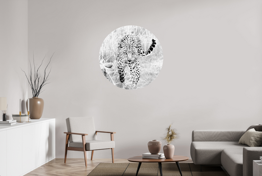 Act - CIRCULAR LIMITED EDITION: 150 → JOCHEN VAN DIJK