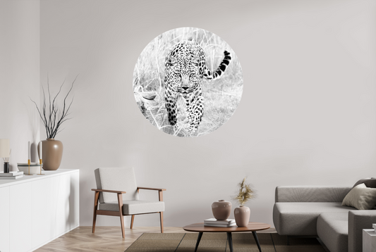 Act - Circular → JOCHEN VAN DIJK