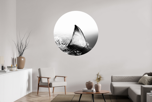 Shallow - Circular → JOCHEN VAN DIJK