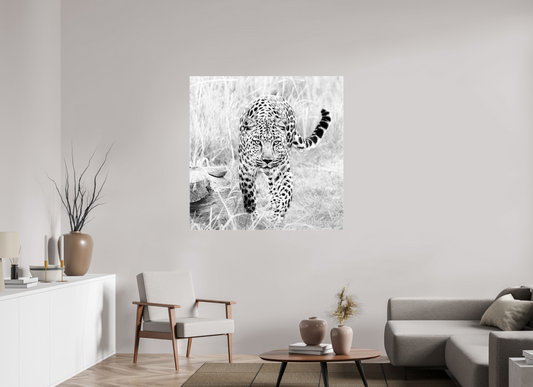 Act - Square → JOCHEN VAN DIJK