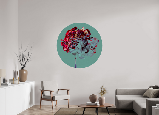 Hydrangea 1 - Circular → TEIS ALBERS