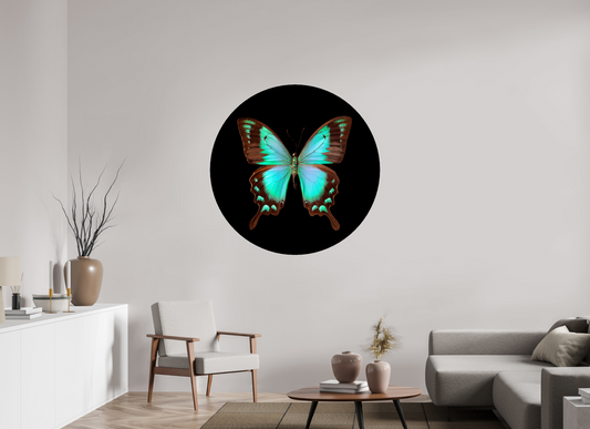 Fly - Circular → JAVIERA ESTRADA