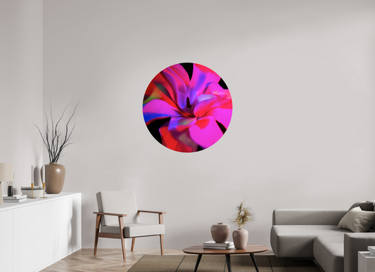 Closer 1 - CIRCULAR LIMITED EDITION: 150 → ELIŠKA BARTEK