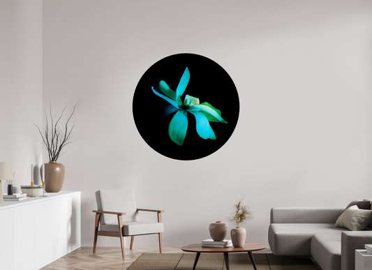 Survivor 2 - Circular → ELIŠKA BARTEK