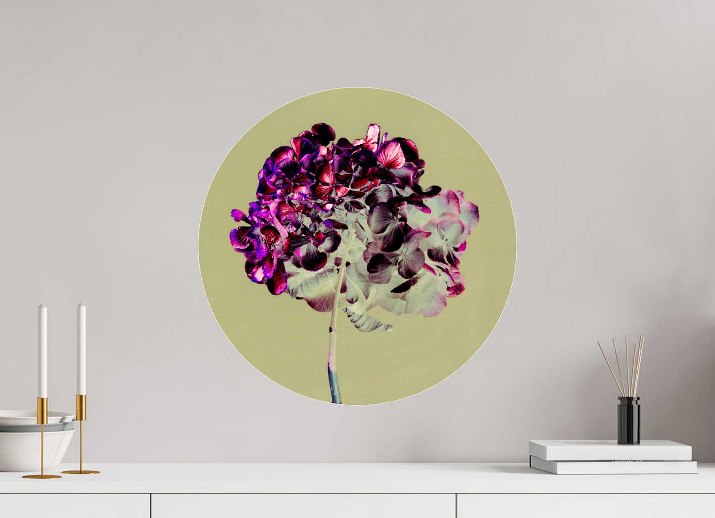 Hortensia 2