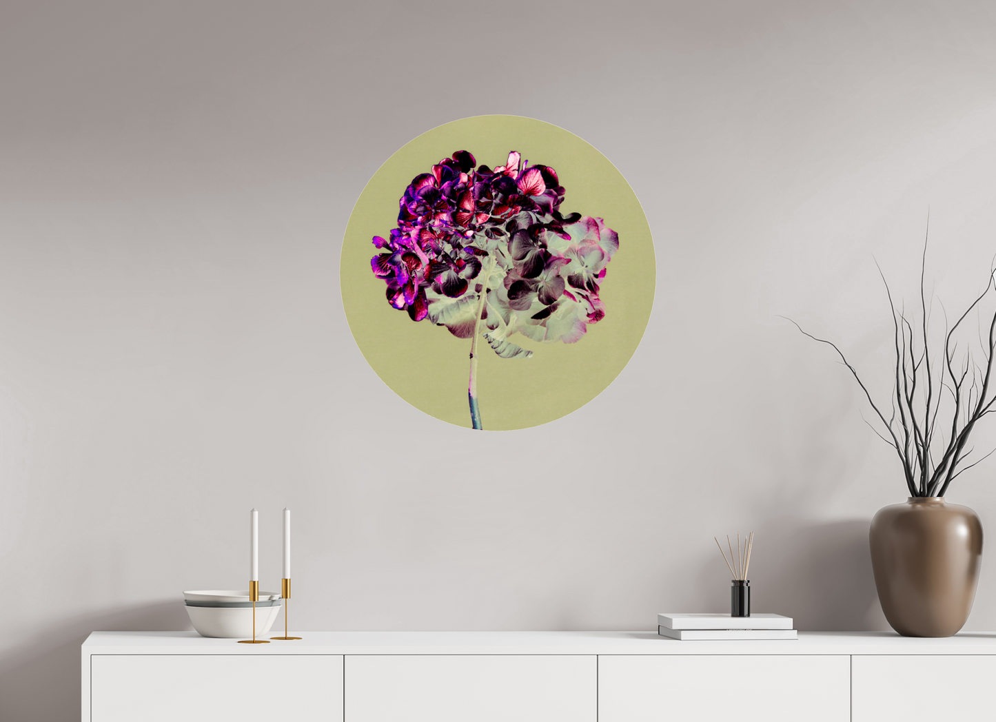 Hortensia 2