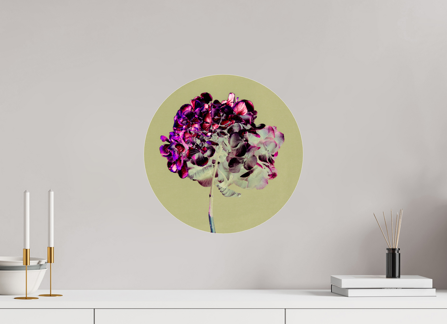 Hortensia 2