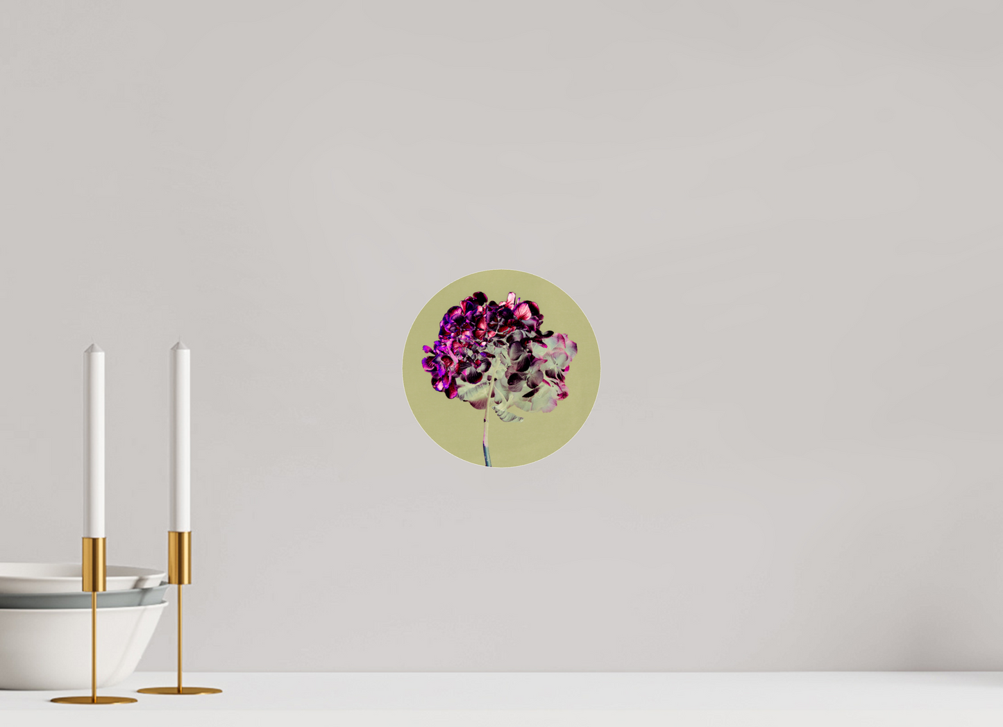 Hortensia 2