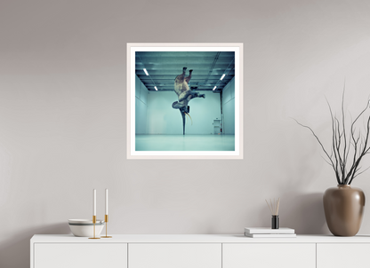 Perform - Framed → BEN VINE