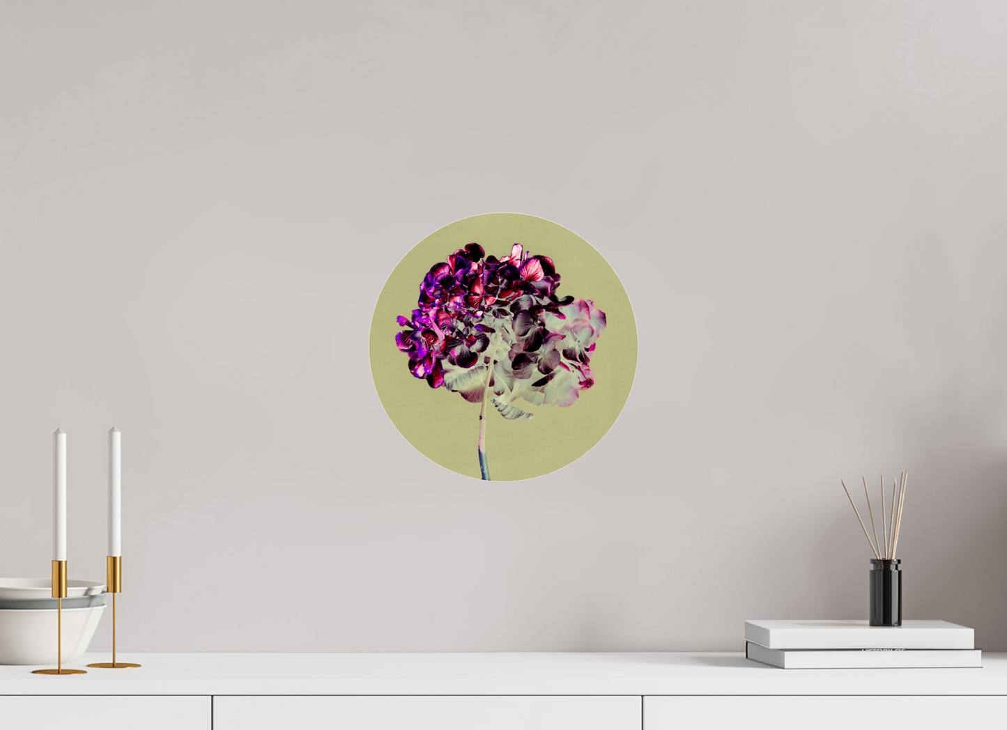Hortensia 2