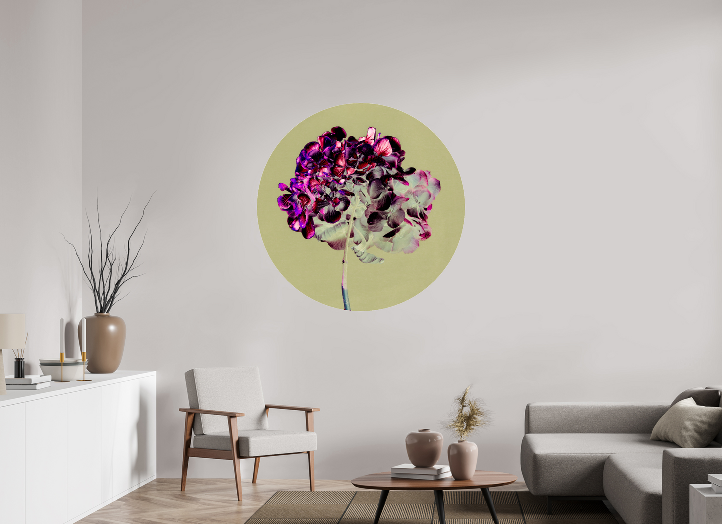 Hortensia 2