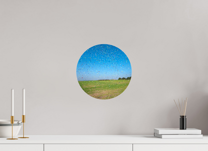 Confetti - Circular → YIGAL PARDO